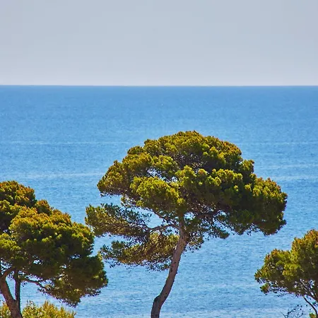 Hotel Petit Ses Rotges - Only Adults Cala Ratjada (Mallorca)